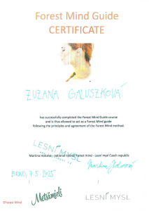certifikat.png