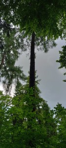1747409451830.jpg